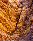 Fractured Rock, Zion National Park, Utah (4x5)